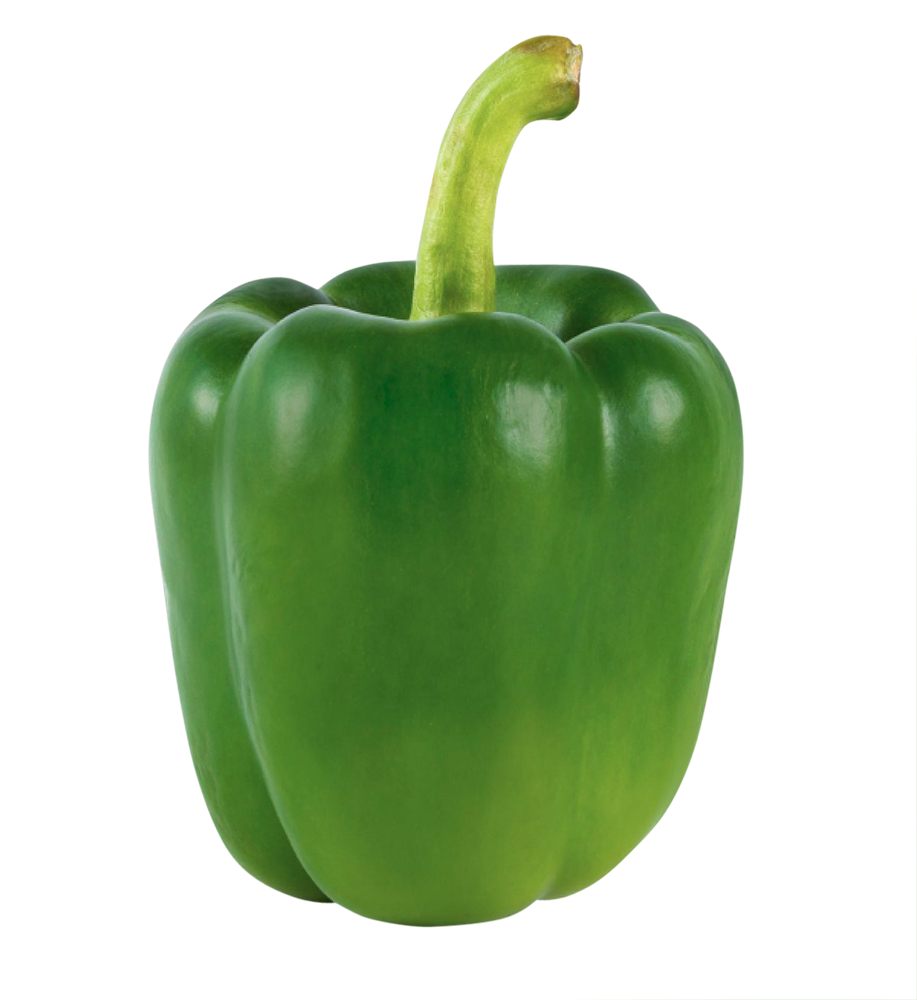 Capsicum green, Capsicum green png, Capsicum png image, transparent Capsicum png image, Capsicum png full hd images download